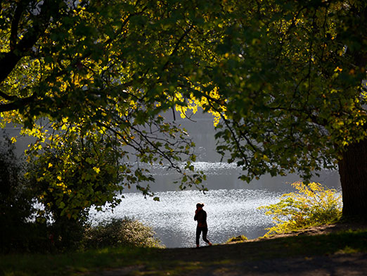Hampstead Heath