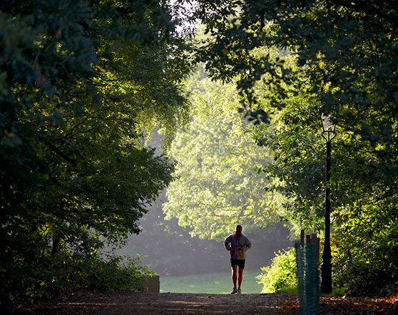 Hampstead Heath