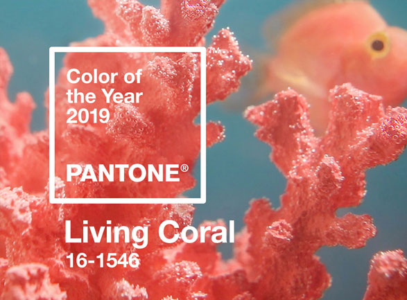 FABRICA-PantoneCOTY2019-StepIntoSummer
