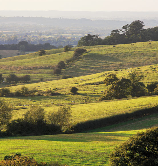Driftway-Location-Chinnor-553x580