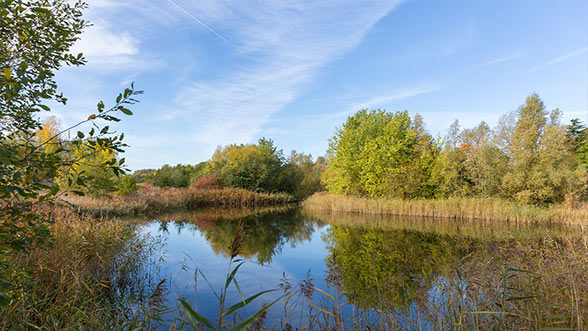 BrooklandsPark-LocalArea-588x331