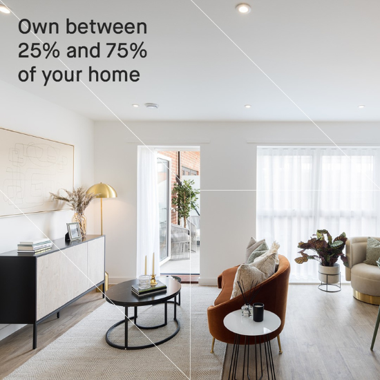 If Shared Ownership a good idea (500 × 500 px)