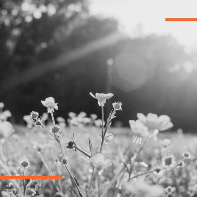 The Oaklands Ottershaw