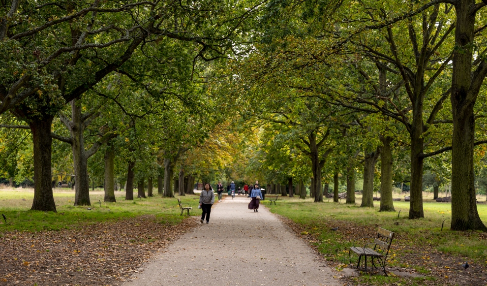 Ealing 6 990 x 581