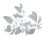 Blossom icon 147px