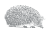 Icon hog 127px