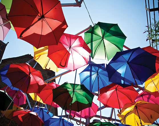 Umbrella