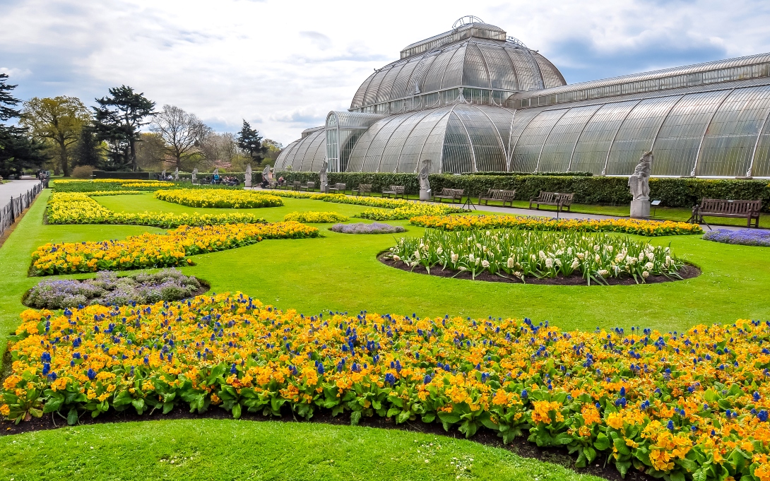 Kew 1090 x 681