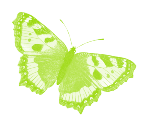 Icon green butterfly 147px