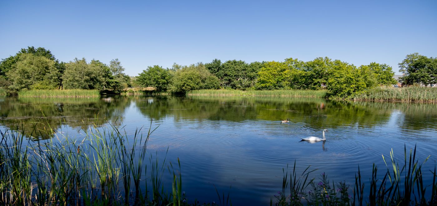 Waters Edge