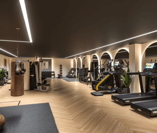 Artisi Gym