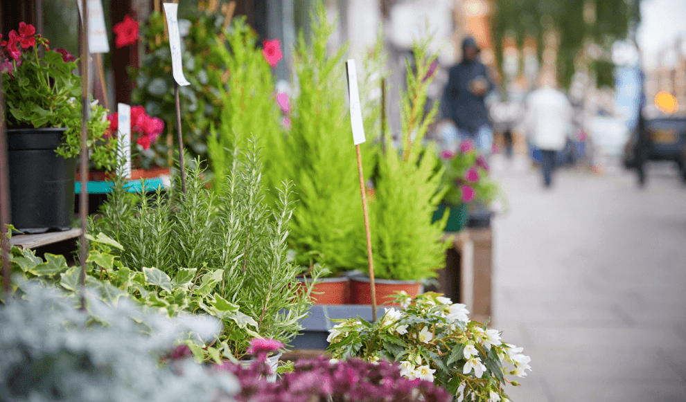 West Hampstead Central Location 6 FABRICA
